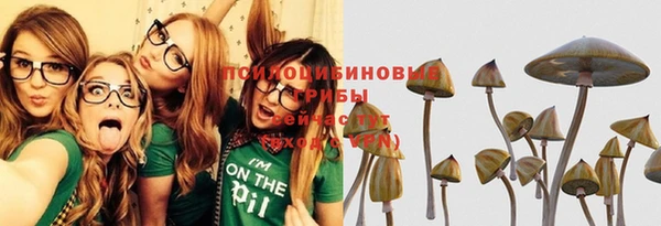 прущие крисы Нягань