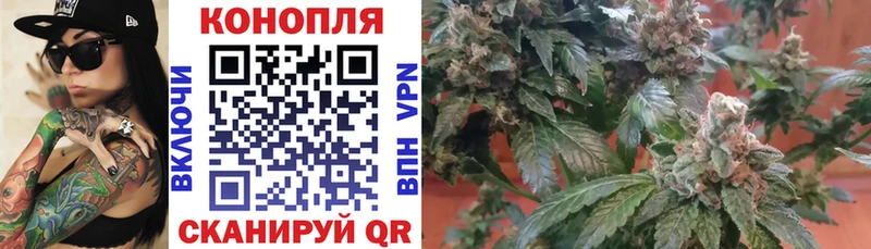 магазин    Струнино  Конопля VHQ 